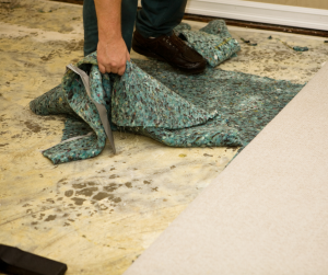 carpet and upholstery cleaning nanaimo duncan