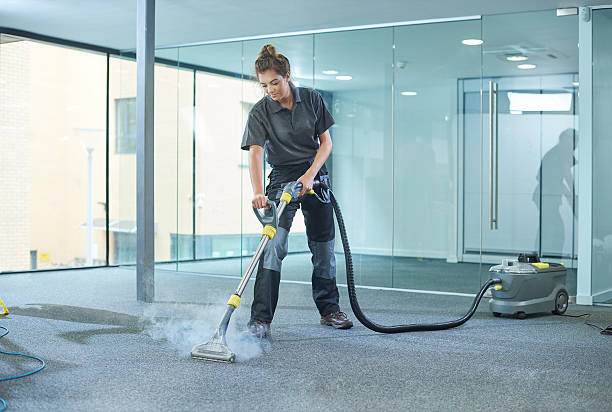 The Comprehensive Guide to Carpet Care for High Traffic Areas
